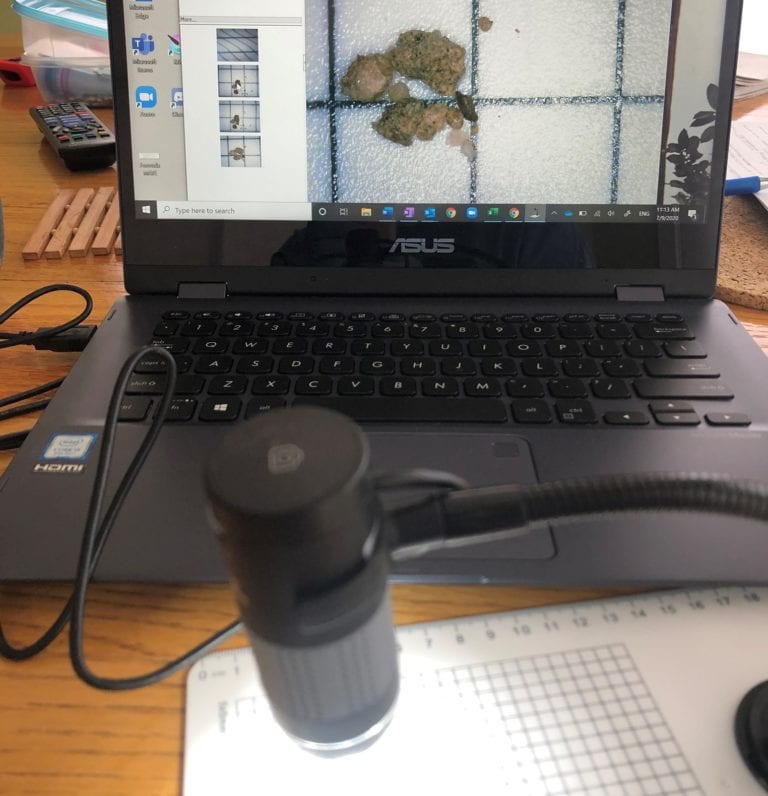 Using a microscope to analyze gypsum