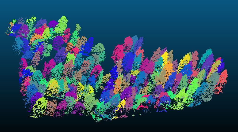 Point cloud visualization created in CloudCompare with data generated using PyCharm, ArcGIS, and a Jupyter notebook. Each tree Is show with an individualized color showing that the system can recognize each tree individually and designate them each as their own object.​
